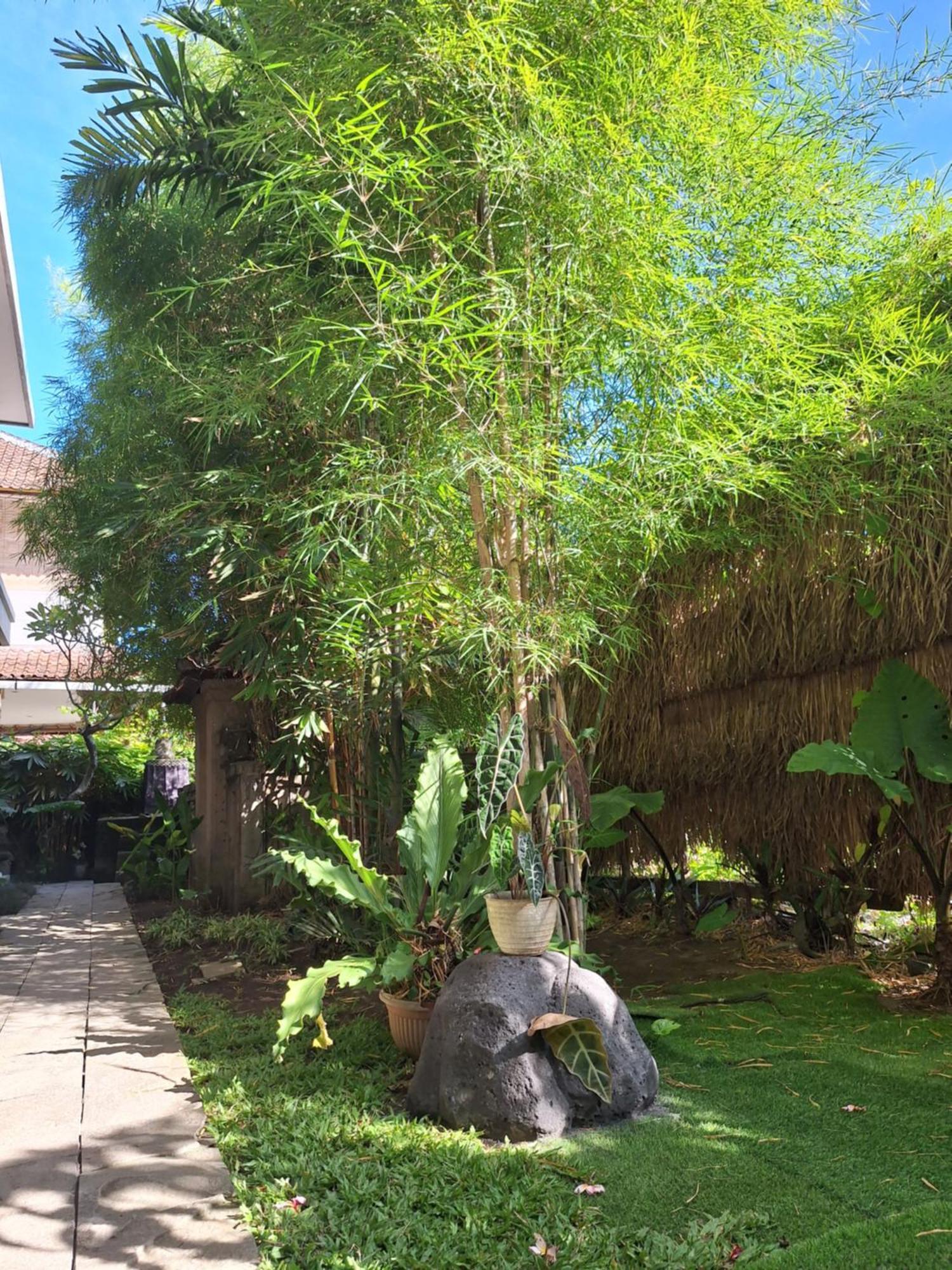 Kasapa Inn Ubud Eksteriør bilde